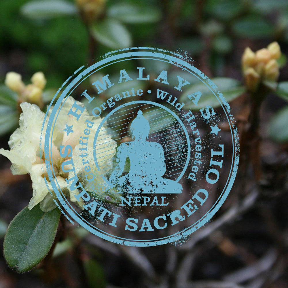 Tweak'd by Nature key ingredient; Sunpati Sacred oil