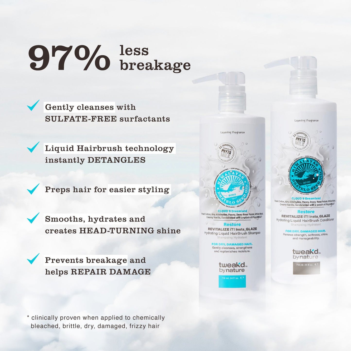 Cloud 9 Dreamland REVITALIZE iT! Insta Glaze Liquid Hairbrush infographic