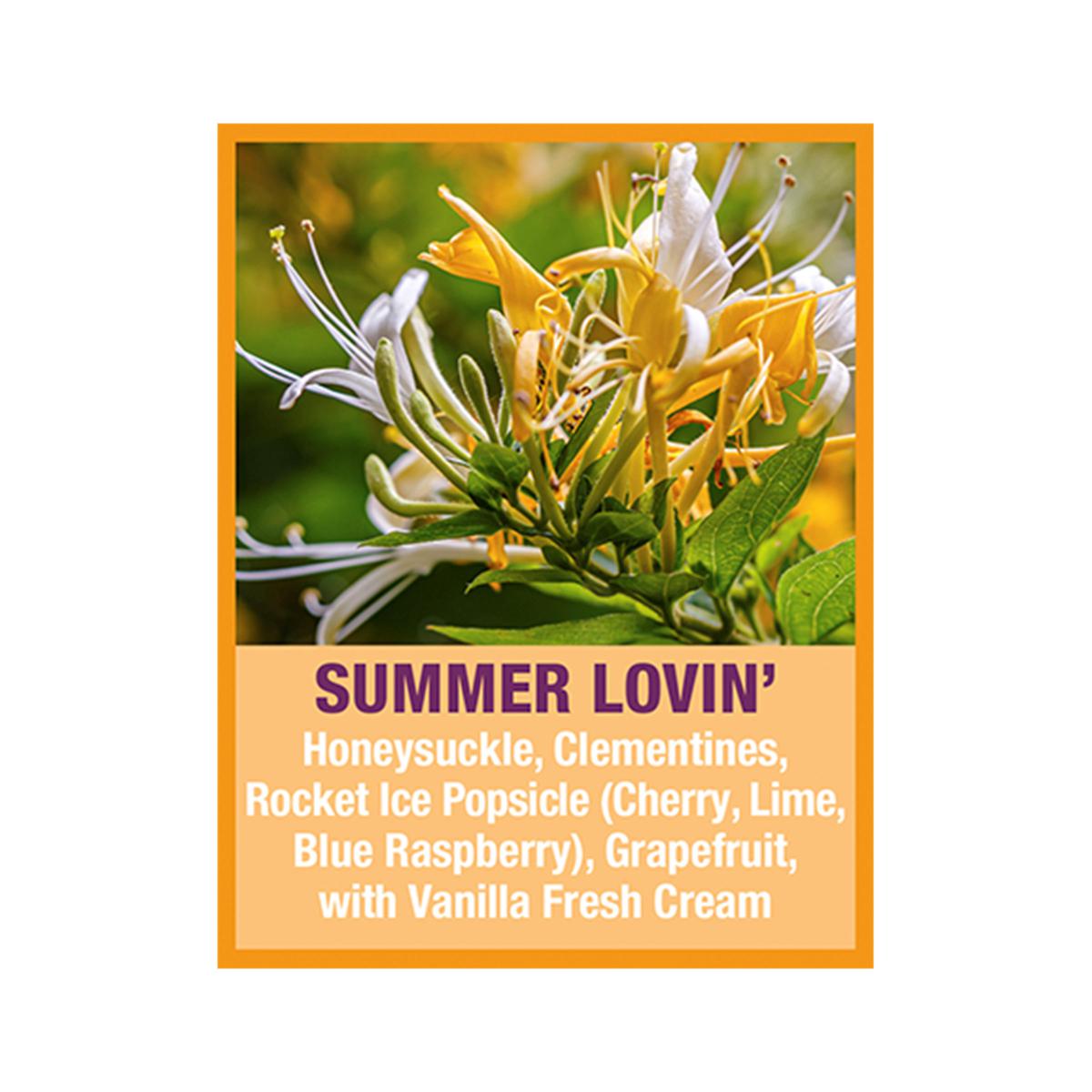 Summer Lovin' 2XL Fiber Lift & Style Volumizing Foam – Tweak'd by