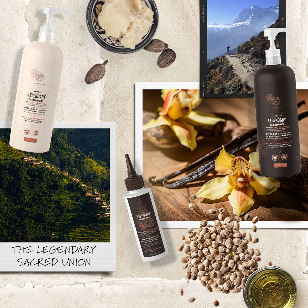 Zenagen Evolve Hair Repair Shampoo and - Planet Beauty