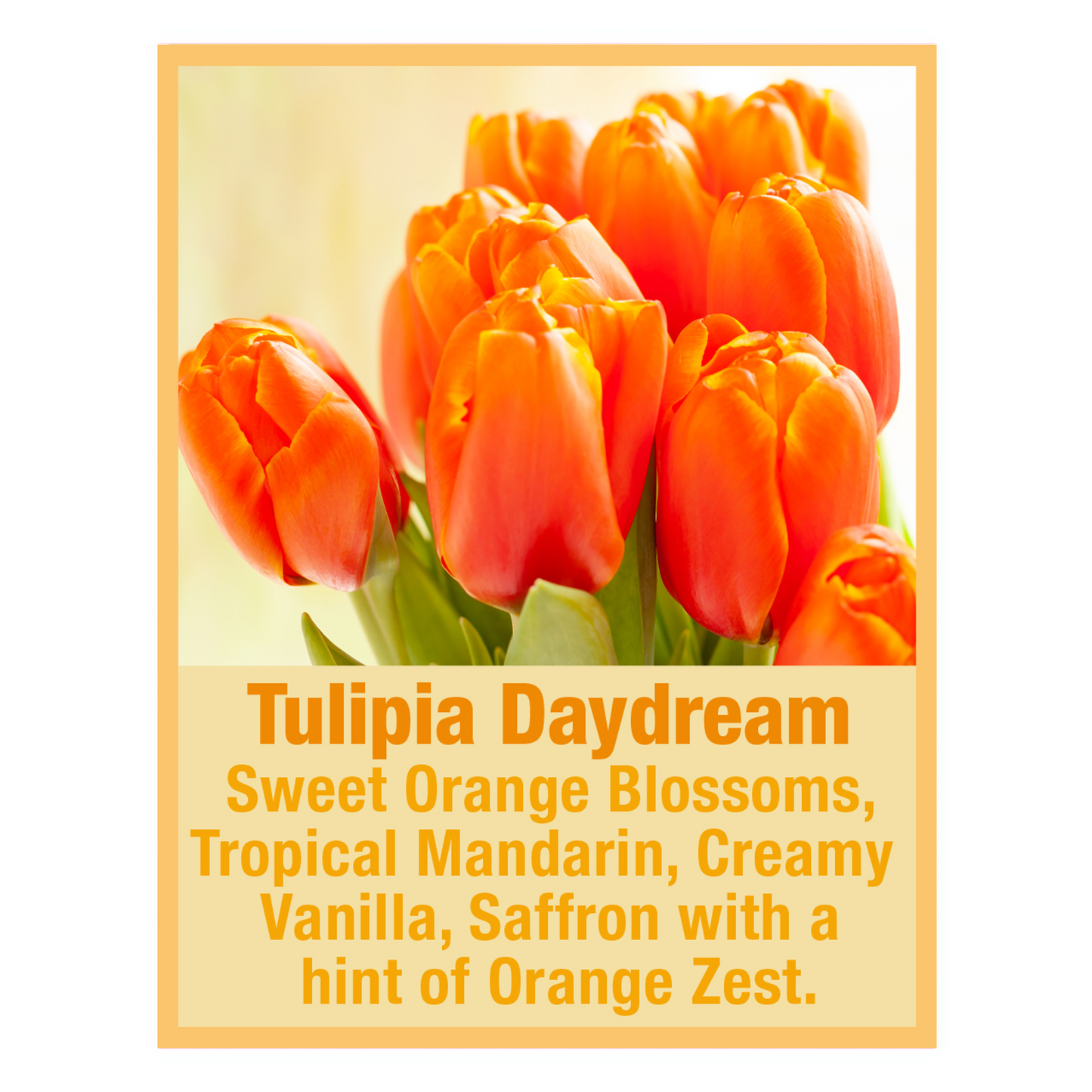 Tulipia Hair Volumizing Shampoo & Conditioner Duo – Tweak'd by Nature